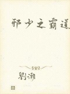 邪少之霸道娇妻