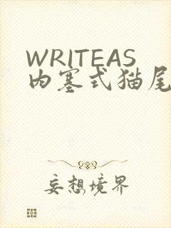 WRITEAS内塞式猫尾