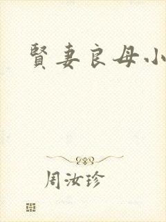 贤妻良母小说