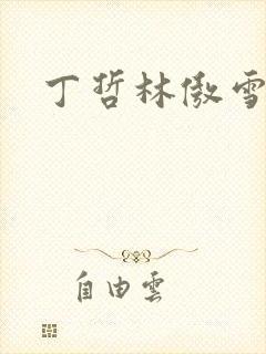 丁哲林傲雪小说