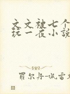 文文被七个男人玩一夜小说