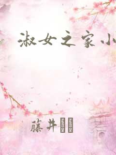 淑女之家小说