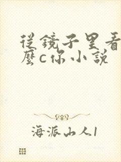 从镜子里看我怎么c你小说