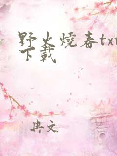 野火烧春txt下载