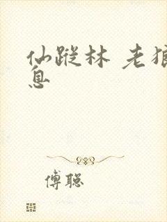 仙踪林 老狼信息