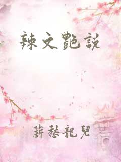 辣文艳说