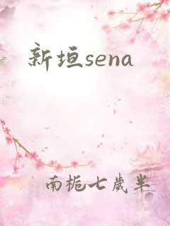 新垣sena