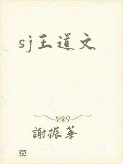 sj王道文