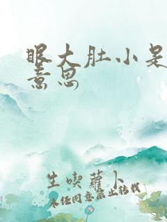 眼大肚小是什么意思