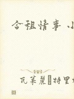 合租情事 小说