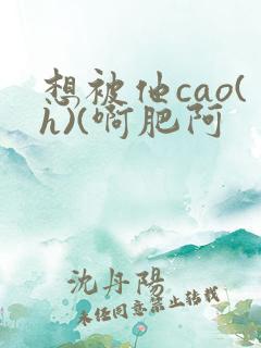 想被他cao(h)(啊肥阿