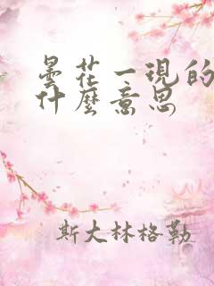 昙花一现的现是什么意思