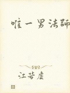 唯一男法师