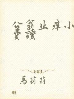 公翁止痒小说免费读