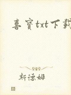 喜宝txt下载