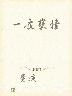 一夜孽情