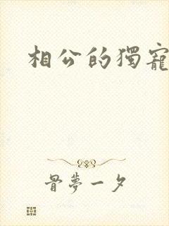 相公的独宠妻子