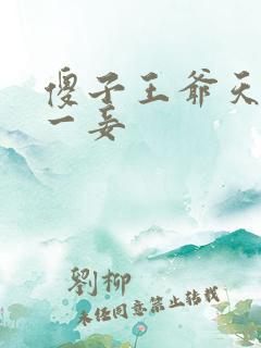 傻子王爷天下第一妾