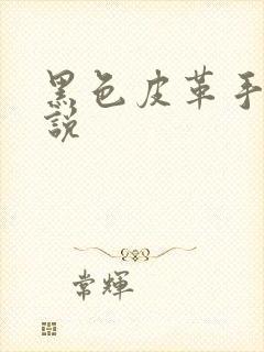 黑色皮革手册小说