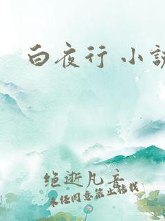 白夜行 小说