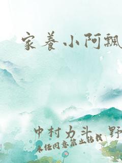 家养小阿飘殿下