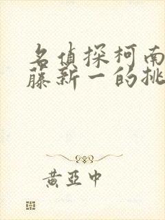 名侦探柯南给工藤新一的挑战书