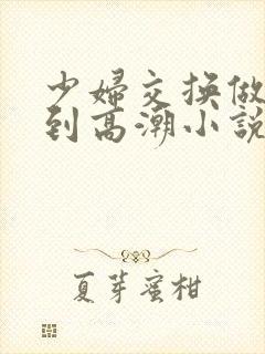 少妇交换做爰做到高潮小说