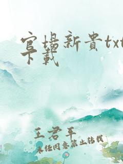 官场新贵txt下载