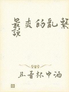 最爽的乱系列小说