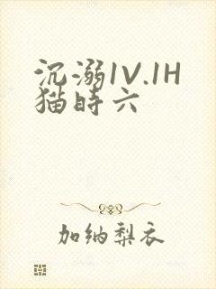 沉溺1V.1H猫时六