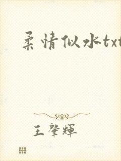 柔情似水txt