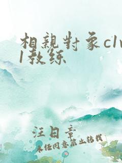 相亲对象c1v1教练