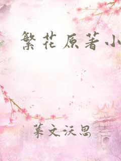 繁花原著小说