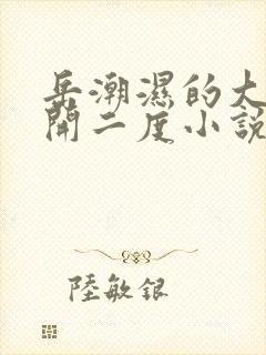 岳潮湿的大肥梅开二度小说