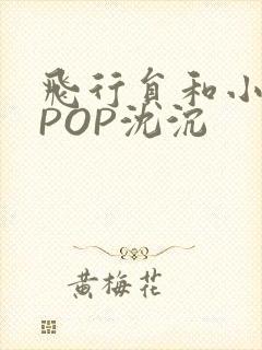 飞行员和小空乘POP沈沉