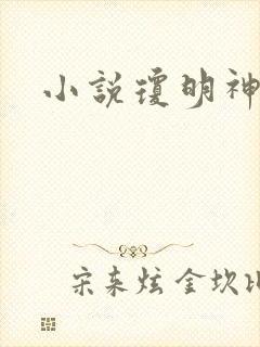 小说琼明神女录