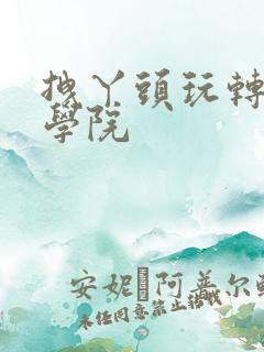 拽丫头玩转美男学院