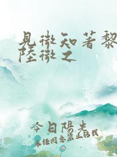 见微知著黎见卿陆微之