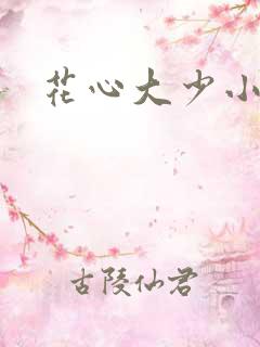花心大少小说