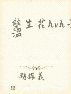 双生花hvh予温