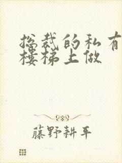 总裁的私有宝贝楼梯上做