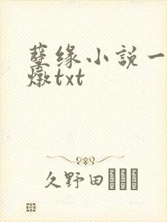 孽缘小说一家乱炖txt