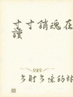 寸寸销魂在线阅读