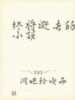 终将逝去的青春小说