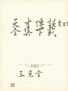 天才传说txt全集下载