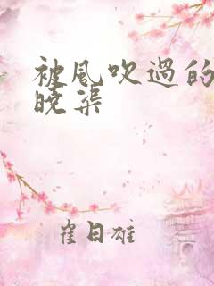 被风吹过的夏天晓渠