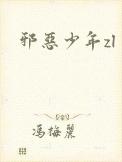 邪恶少年zl