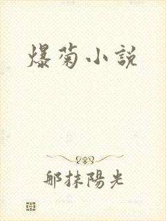 爆菊小说