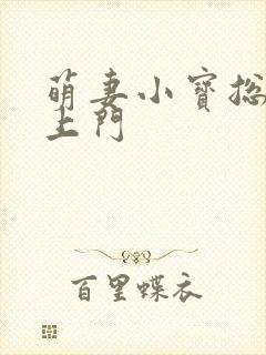 萌妻小宝总裁找上门