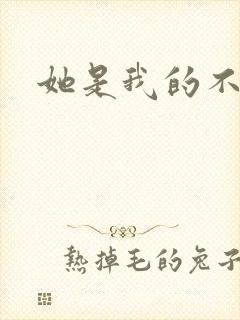 她是我的不准碰